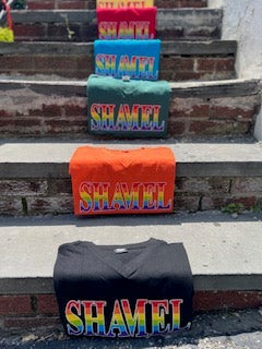 SHAMEL Pride V-Neck