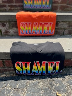 SHAMEL Pride V-Neck