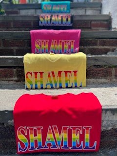SHAMEL Pride V-Neck